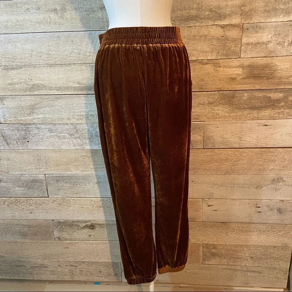 BNWT 7 For  all Mankind women’s velour joggers in size medium‎ - Picture 3 of 10